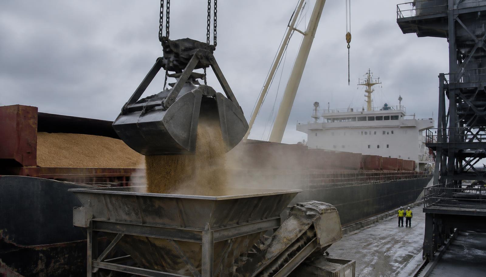 Grab crane discharging bulk grain from a ship's hold into a quayside hopper
